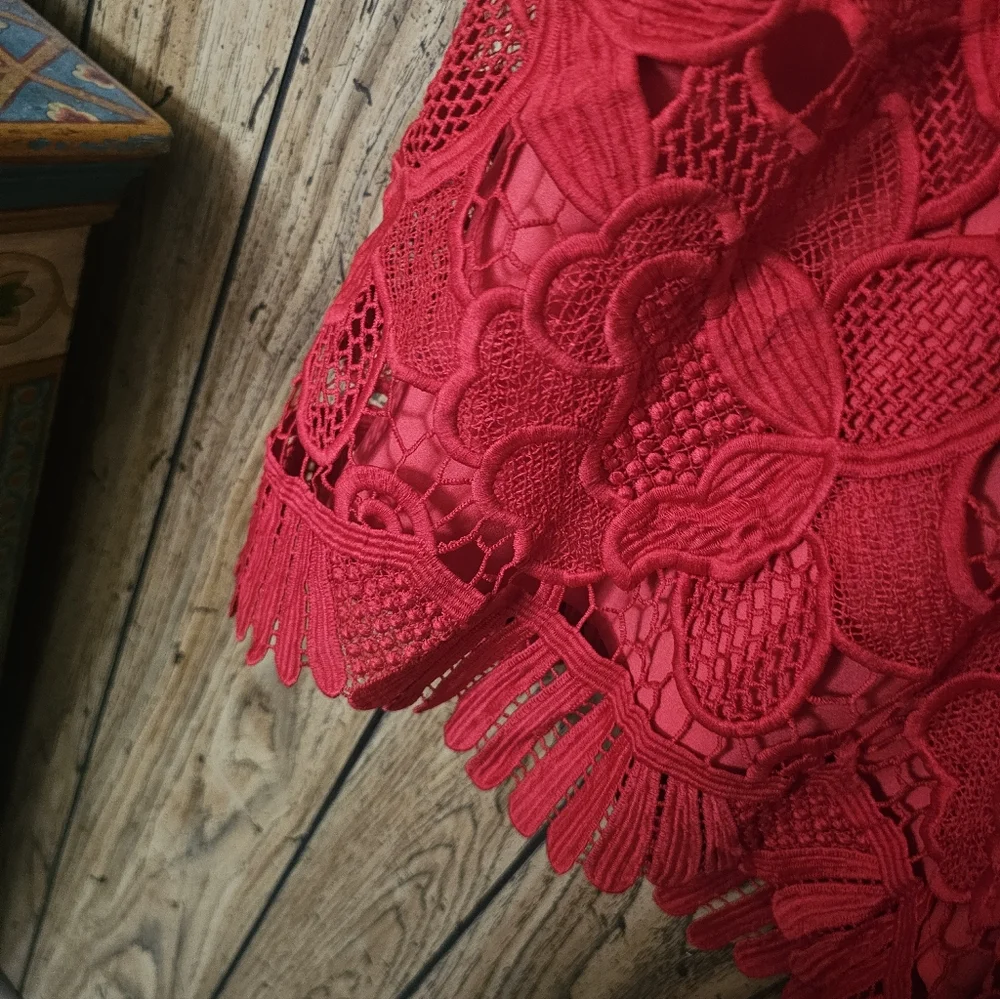 LOVERS + FRIENDS / REVOLVE Red Caspian Lace Overlay Dress - XS - Picture 7 of 11